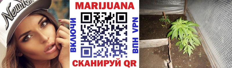 Марихуана индика  как найти   Приволжск 